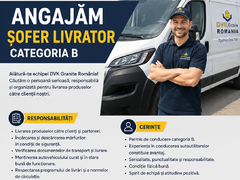 Sofer din Stefanesti - categoria B autoutilitara 3.5T - ILFOV